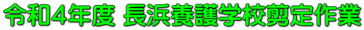 令和４年度 長浜養護学校剪定作業