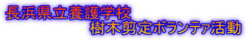長浜県立養護学校 　　　　　　　　樹木剪定ボランテァ活動